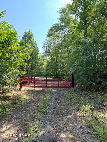 0 000 Sheep Ranch Rd, Robbins, TN 37852
