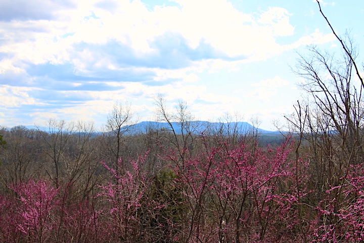 0 1 Polly Mountain Rd, Madisonville, TN 37354