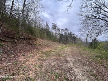 0 10 Acres Possum Valley Rd, Maynardville, TN 37807