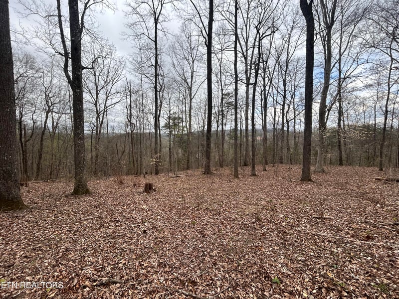 0 10 Acres Possum Valley Rd, Maynardville, TN 37807