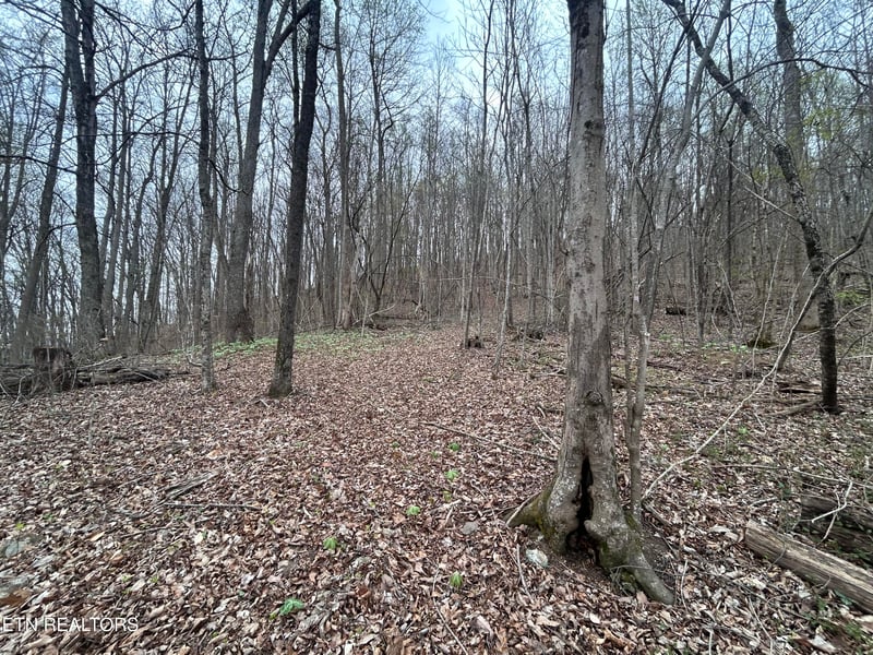 0 10 Acres Possum Valley Rd, Maynardville, TN 37807