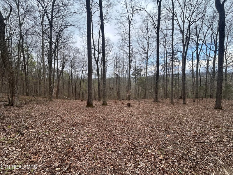 0 10 Acres Possum Valley Rd, Maynardville, TN 37807