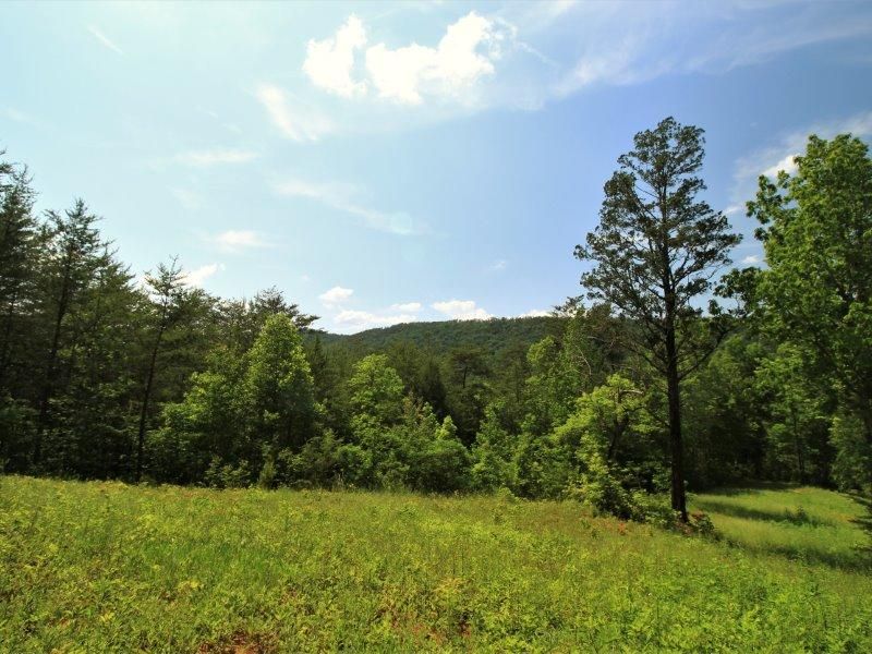 0 1480 Reagan Valley Rd, Tellico Plains, TN 37385