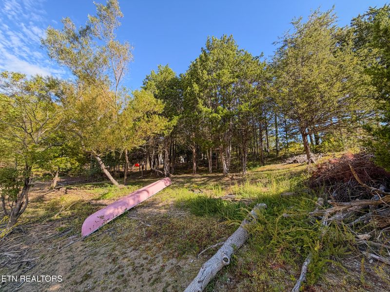 0 2859 Buck Horn Rd, Sevierville, TN 37876
