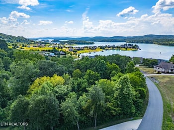 0 355 Larayne Hollow Rd, Sharps Chapel, TN 37866