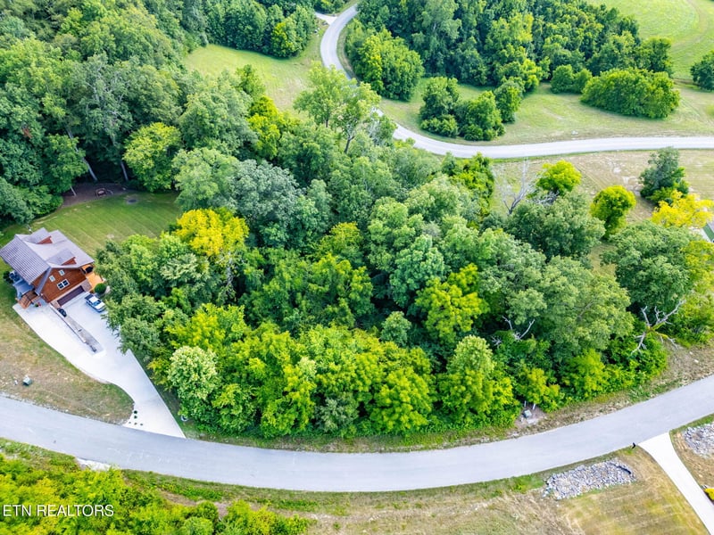 0 355 Larayne Hollow Rd, Sharps Chapel, TN 37866