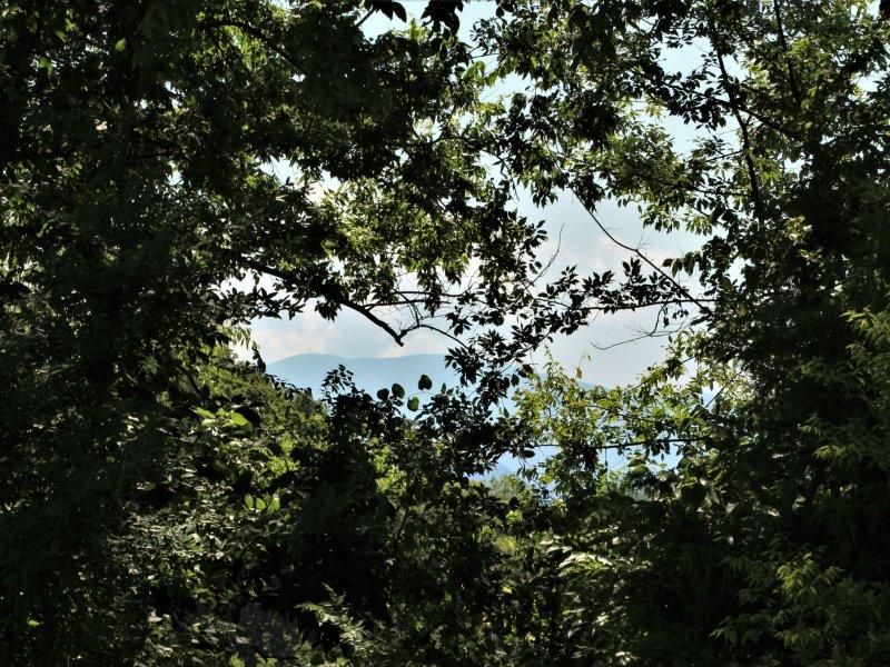 0 41 Thunder Ridge Dr, Vonore, TN 37885