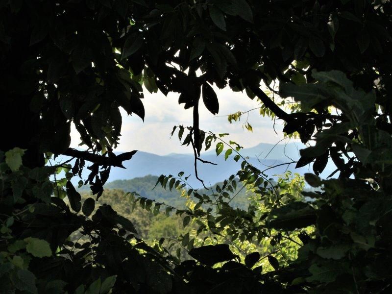 0 41 Thunder Ridge Dr, Vonore, TN 37885
