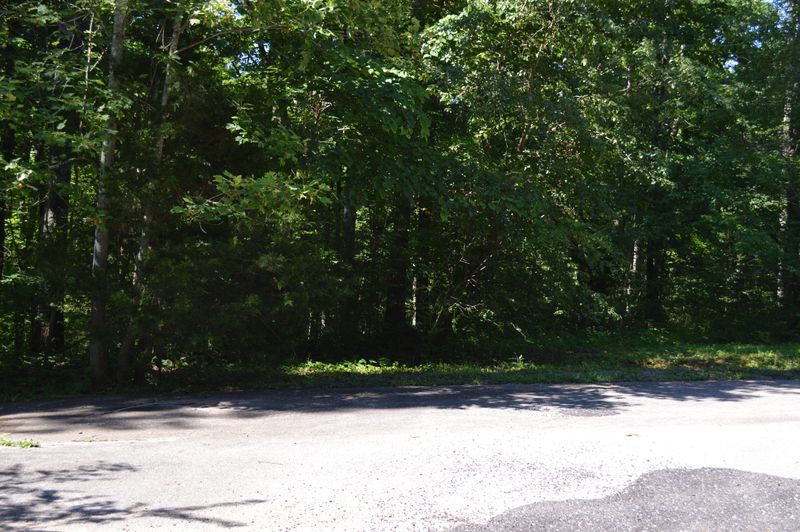 0 416 Allison Lot 41 Dr, Harriman, TN 37748