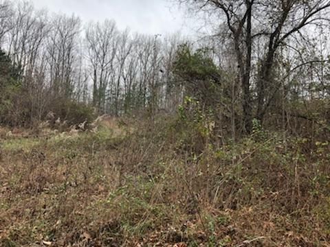 0 429 Pea Ridge Rd, Sunbright, TN 37872