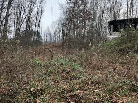 0 429 Pea Ridge Rd, Sunbright, TN 37872