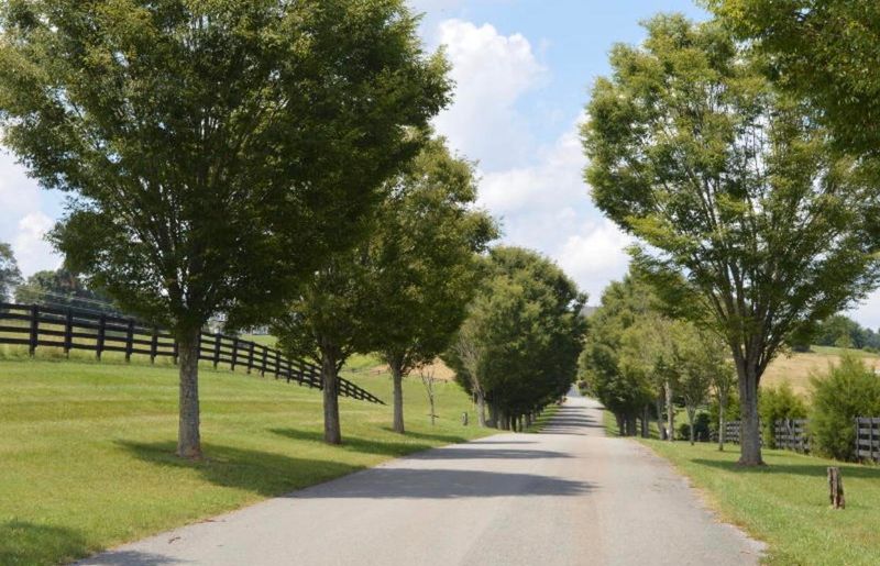 0 44 Richland Rd, Blaine, TN 37709
