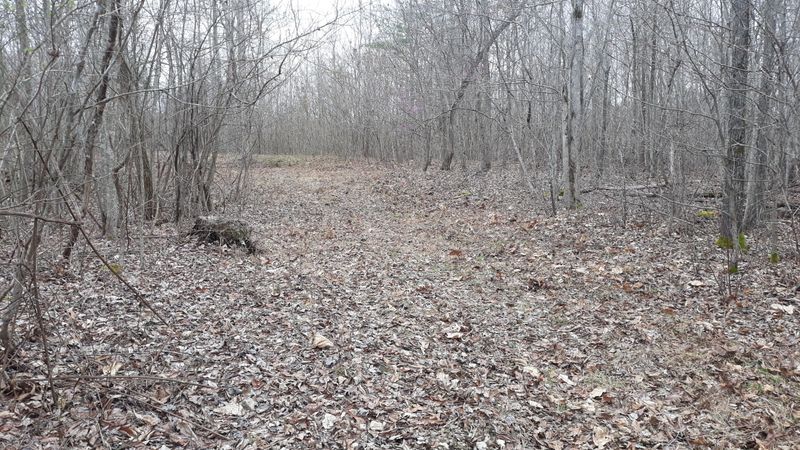 0 598 Myers Rd, Kingston, TN 37763