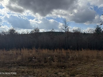 0 6 25 Acres Valerie Dr, Deer Lodge, TN 37726
