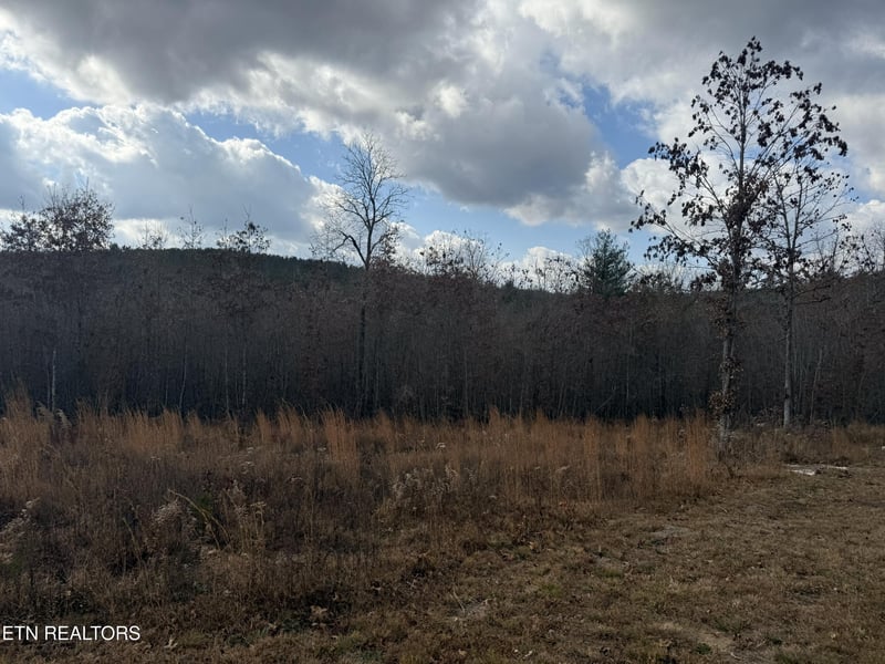 0 6 25 Acres Valerie Dr, Deer Lodge, TN 37726