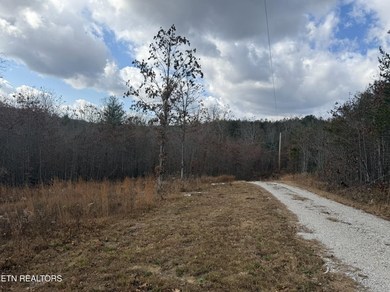 0 6 25 Acres Valerie Dr, Deer Lodge, TN 37726