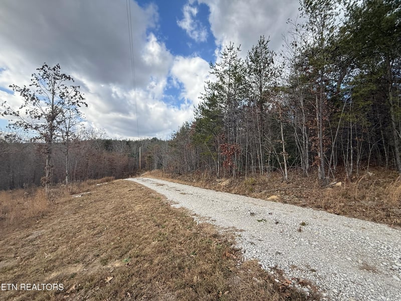 0 6 25 Acres Valerie Dr, Deer Lodge, TN 37726