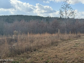 0 6 25 Acres Valerie Dr, Deer Lodge, TN 37726