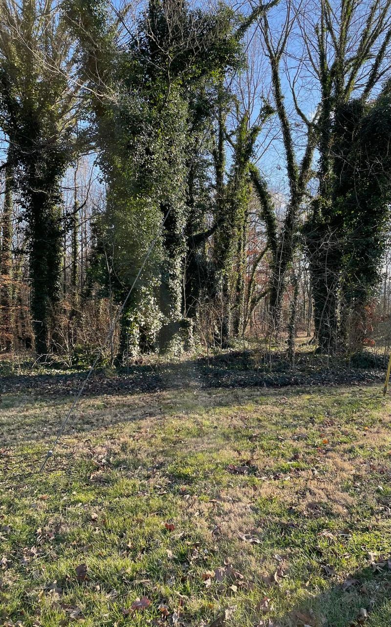 0 7833 Stanley Rd, Powell, TN 37849