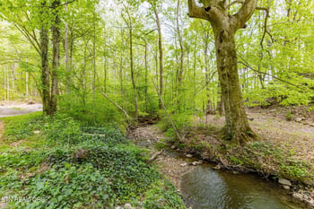 0 8 Ac +/ Tollgate Rd, Rockwood, TN 37854
