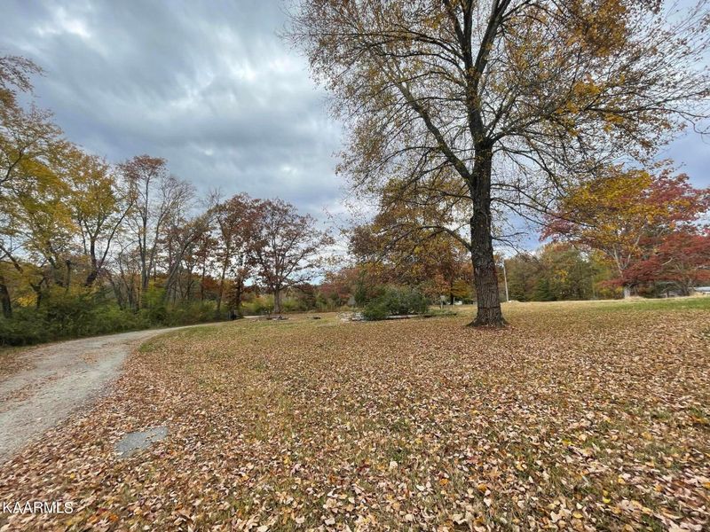 0 865 Niggs Creek Rd/119 Ag Kidd Ln, Oneida, TN 37841