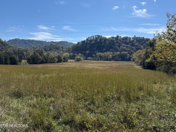 0 9529 Pedigo Rd, Powell, TN 37849