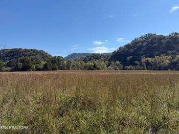 0 9529 Pedigo Rd, Powell, TN 37849