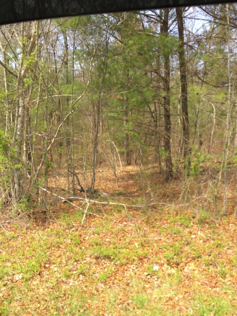 0 Abigail Tr, Deer Lodge, TN 37726