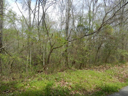 0 Ables Valley Rd, Rockwood, TN 37854