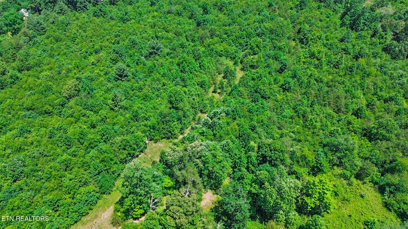 0 Adams Creek Rd, Crossville, TN 38571