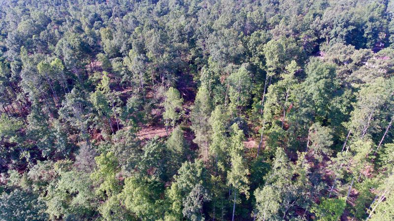 0 Adams Hill Church Rd, Deer Lodge, TN 37726