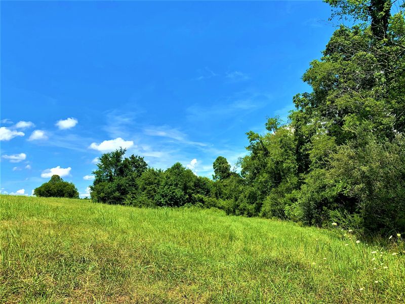0 Adams Rd, Walland, TN 37886