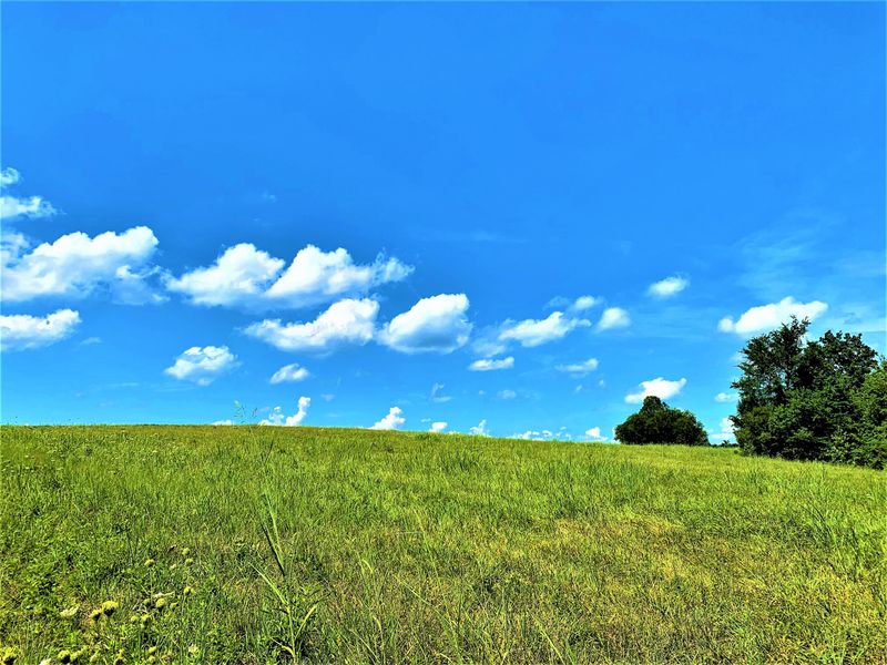 0 Adams Rd, Walland, TN 37886