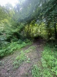 0 Ailor Dr Off Dr, Maynardville, TN 37807
