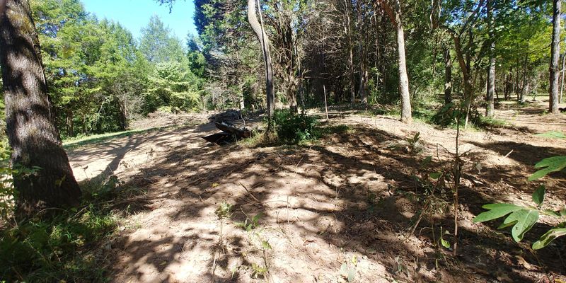0 Ailor Gap Rd, Corryton, TN 37721