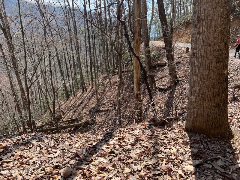 0 Aintree Dr #26, Sevierville, TN 37876