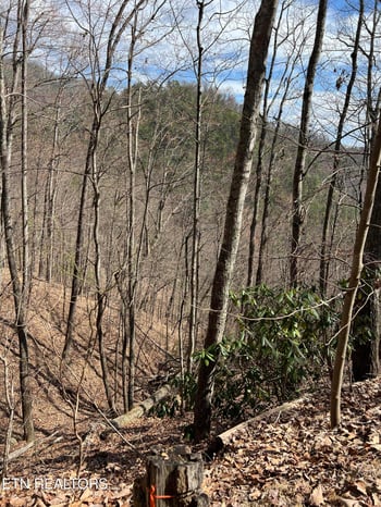 0 Aintree Dr #26, Sevierville, TN 37876