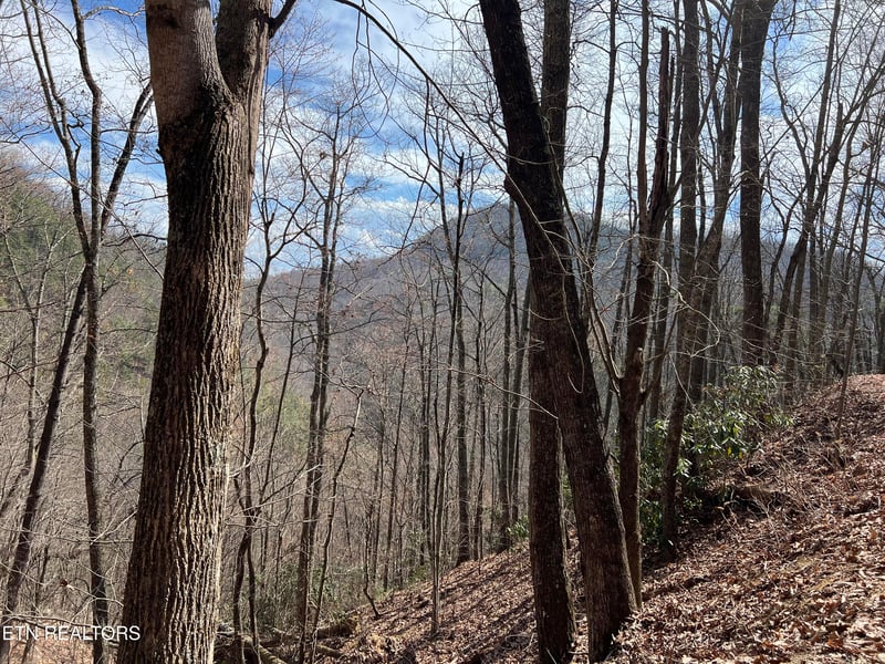 0 Aintree Dr #26, Sevierville, TN 37876