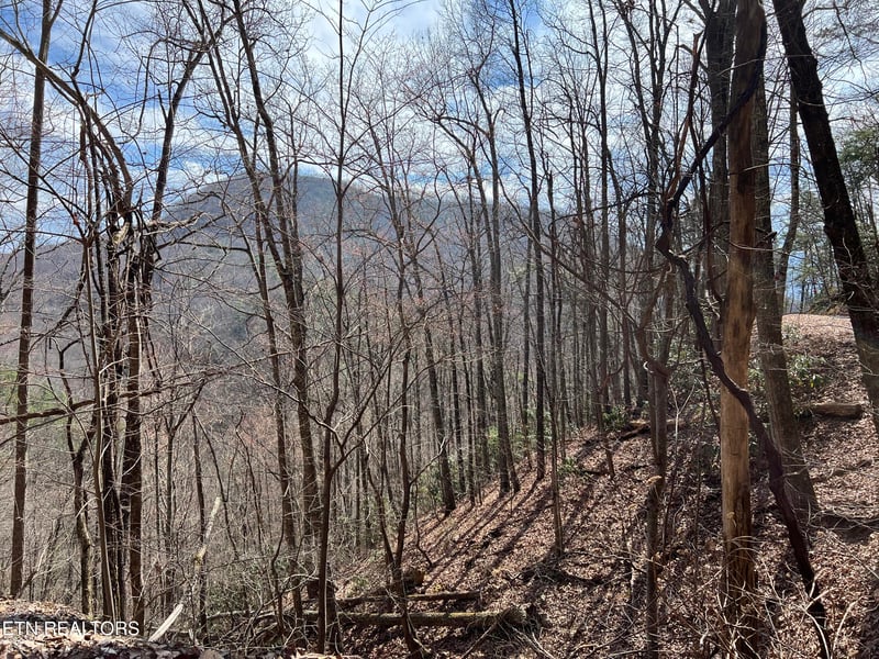 0 Aintree Dr #26, Sevierville, TN 37876