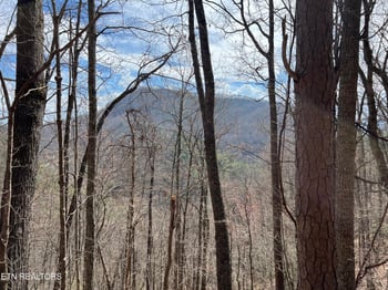 0 Aintree Dr #26, Sevierville, TN 37876