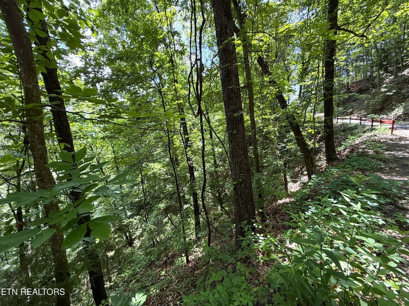 0 Aintree Dr, Sevierville, TN 37876