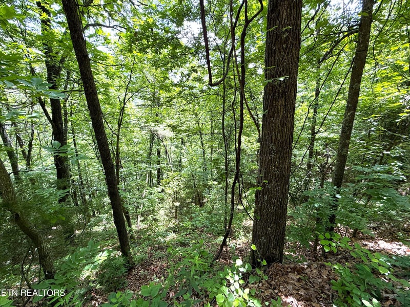 0 Aintree Dr, Sevierville, TN 37876