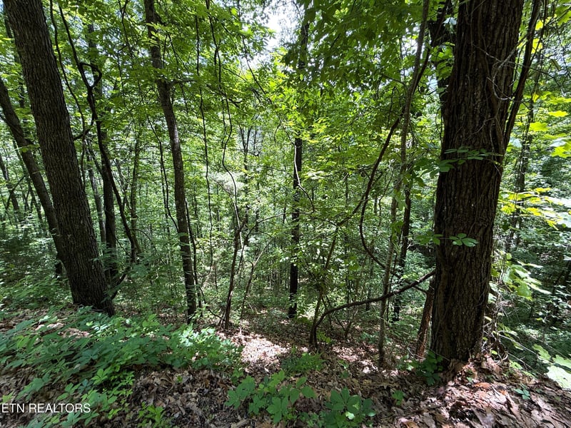 0 Aintree Dr, Sevierville, TN 37876