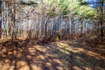 0 Airport Rd Lot 10, Rockwood, TN 37854