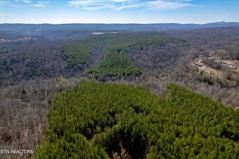 0 Airport Rd Lot 5, Rockwood, TN 37854