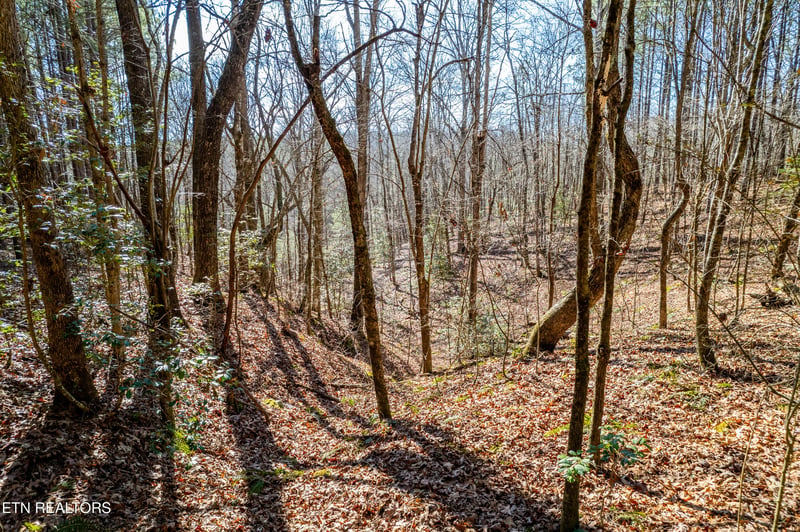 0 Airport Rd Lot 7, Rockwood, TN 37854