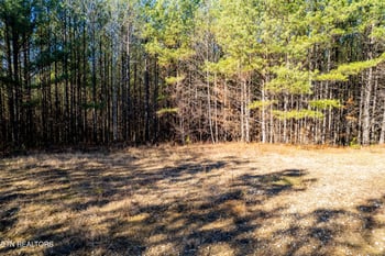 0 Airport Rd Lot 9, Rockwood, TN 37854