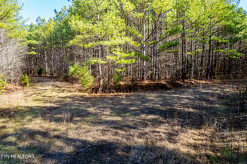 0 Airport Rd, Rockwood, TN 37854