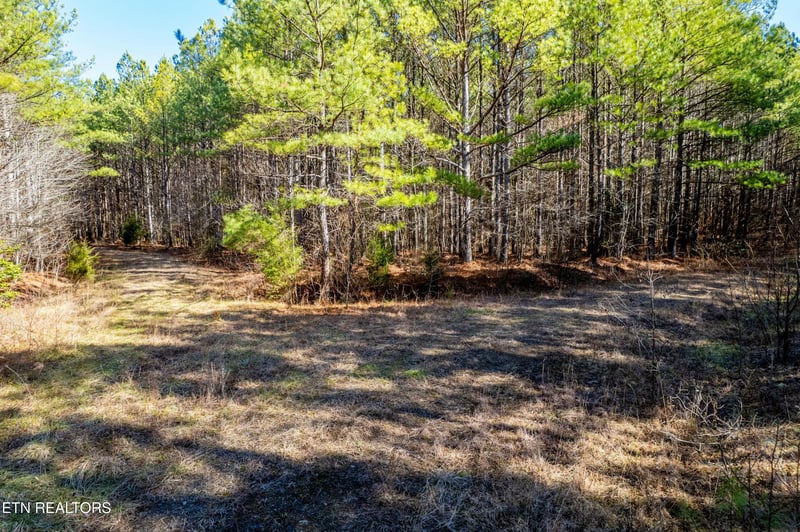 0 Airport Rd, Rockwood, TN 37854