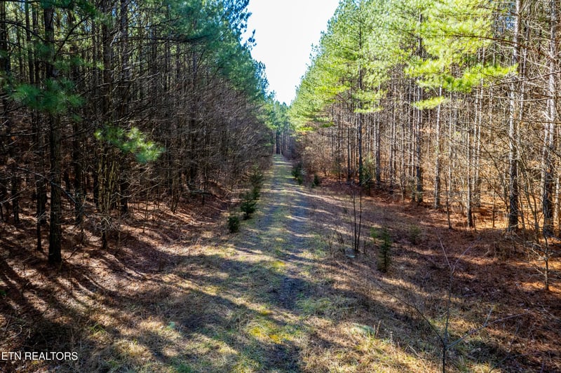 0 Airport Rd, Rockwood, TN 37854